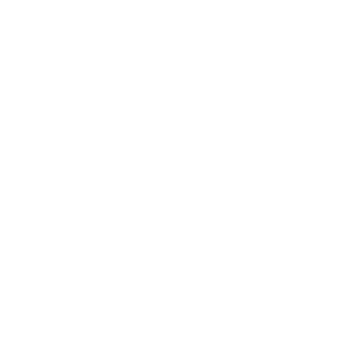 Vitea Consulting